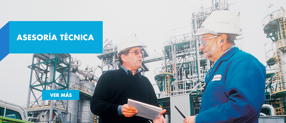 Asesoría Técnica