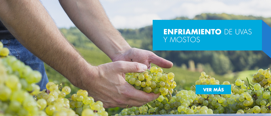 Enfriamiento de uvas y mostos